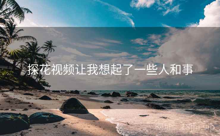 探花视频让我想起了一些人和事 探花视频让我想起了一些人和事