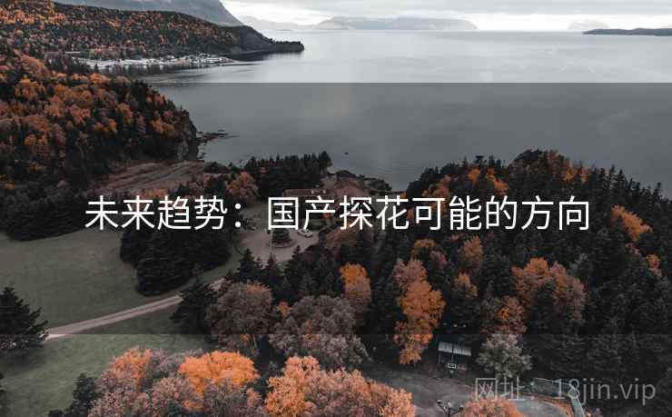 未来趋势:国产探花可能的方向 未来趋势:国产探花可能的方向