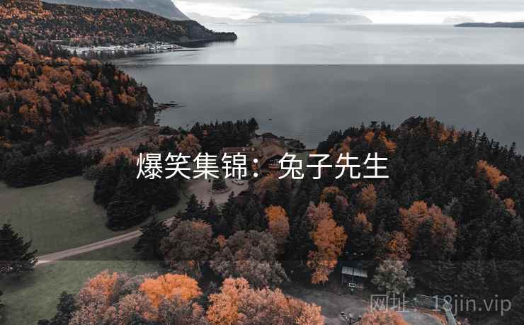 爆笑集锦:兔子先生