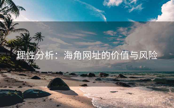 理性分析：海角网址的价值与风险