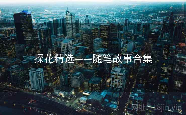 探花精选——随笔故事合集 探花精选——随笔故事合集