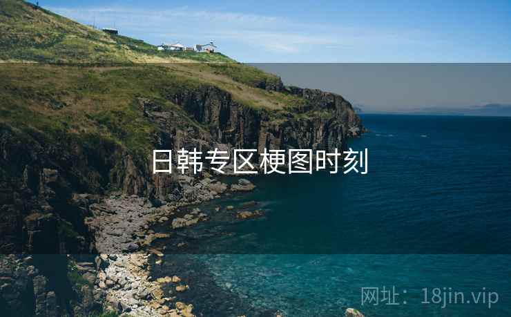 日韩专区梗图时刻