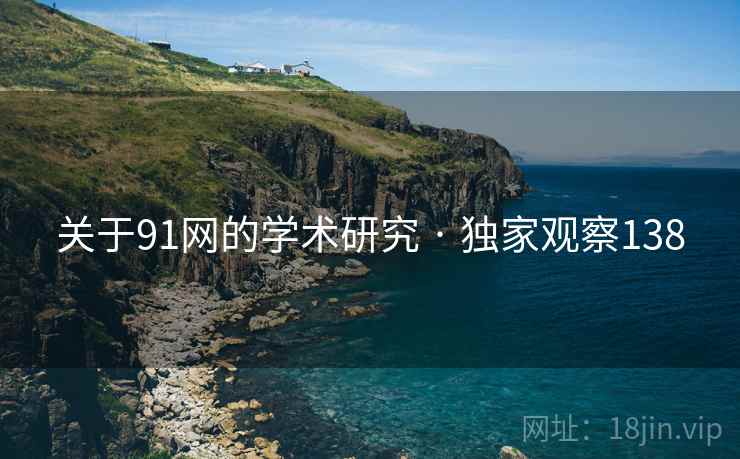 关于91网的学术研究 · 独家观察138
