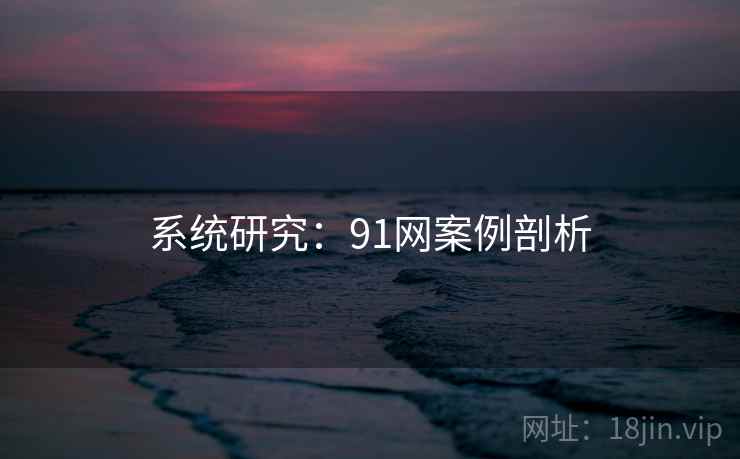 系统研究:91网案例剖析