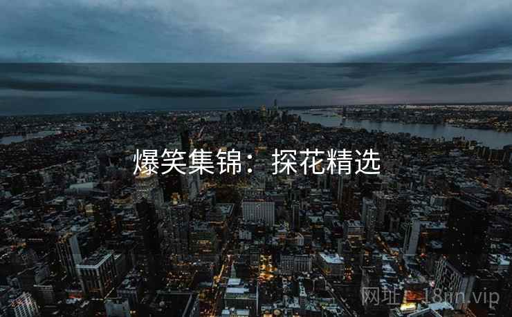 爆笑集锦:探花精选