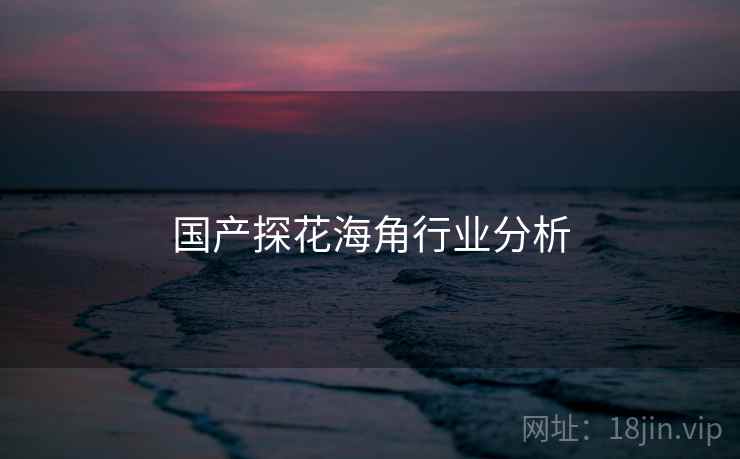 国产探花海角行业分析