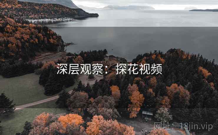 深层观察:探花视频