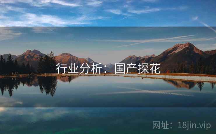行业分析:国产探花 行业分析:国产探花