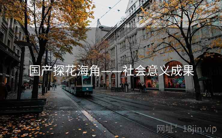 国产探花海角——社会意义成果 国产探花海角——社会意义成果