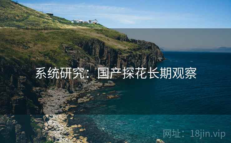 系统研究:国产探花长期观察