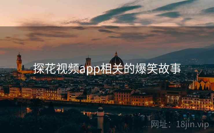 探花视频app相关的爆笑故事