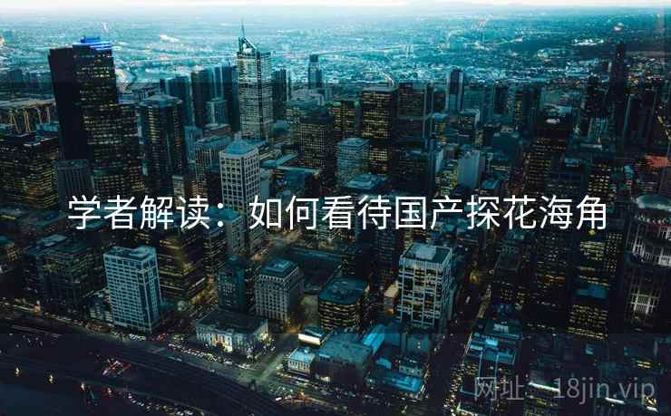 学者解读:如何看待国产探花海角