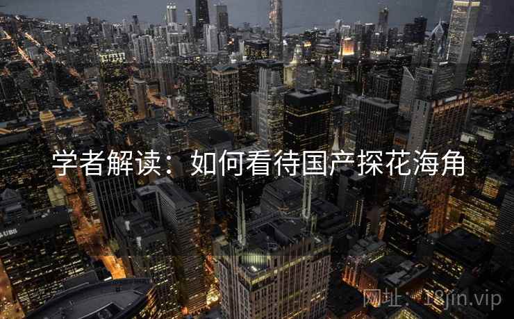 学者解读:如何看待国产探花海角 学者解读:如何看待国产探花海角