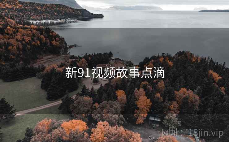 新91视频故事点滴