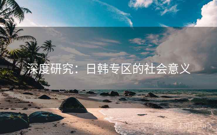 深度研究:日韩专区的社会意义
