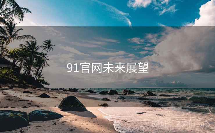 91官网未来展望