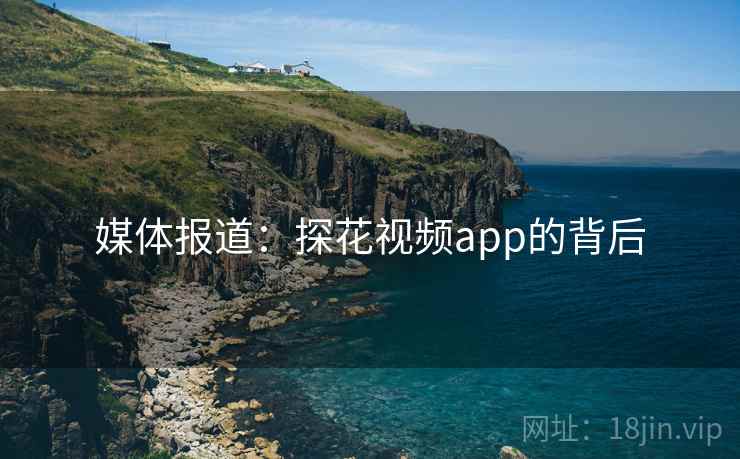 媒体报道:探花视频app的背后